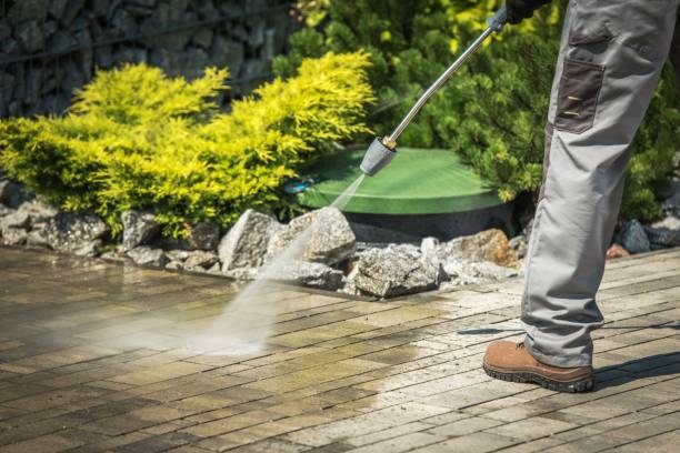 Best Brick and Stone Cleaning in Trenton, TN