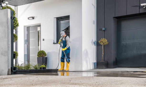 Best Fence Cleaning and Maintenance in Trenton, TN